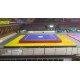 Wushu