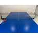 Table Tennis Net with Clamp