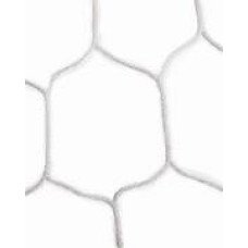 Professional Football Net for Football (PAIR)