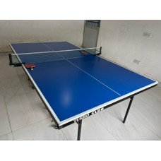 Table Tennis Table