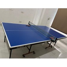 Table Tennis Table