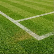 Lawn Tennis Turf, Ground Installation with Fencing & Light (7200 SQ FT)