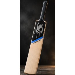 Sports Barrel English Willow Cricket Bat Master Pro