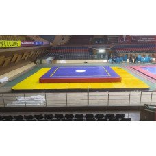 Wushu Arena Complete Set (Wushu or Sanda Mat)