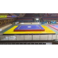 Wushu Arena Complete Set (Wushu or Sanda Mat)