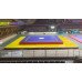 Wushu Arena Complete Set (Wushu or Sanda Mat)